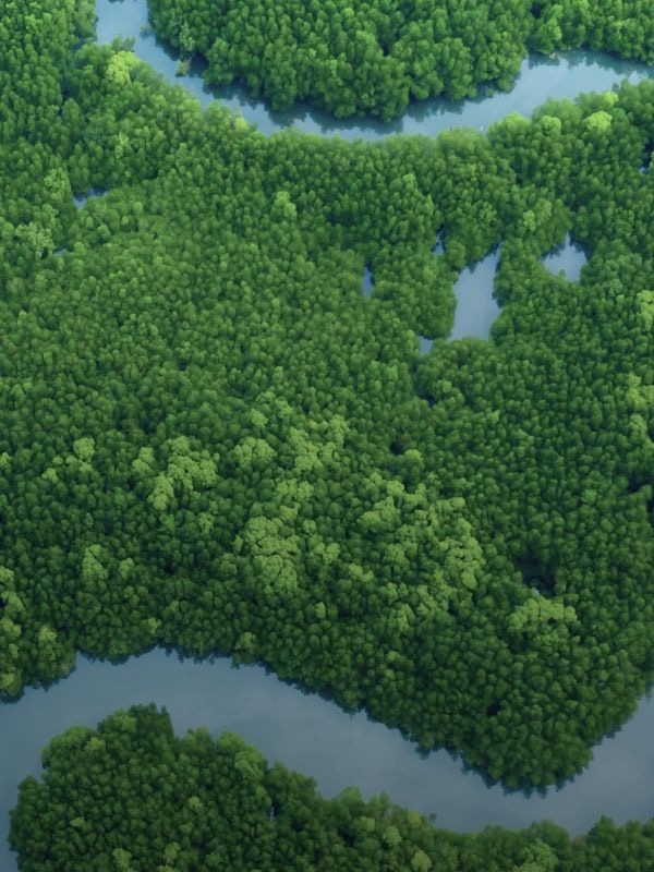 Waterplan